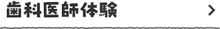 歯科医師体験